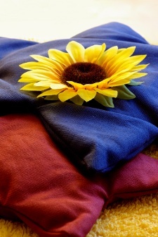Sonnenblume auf farbigen Kissen